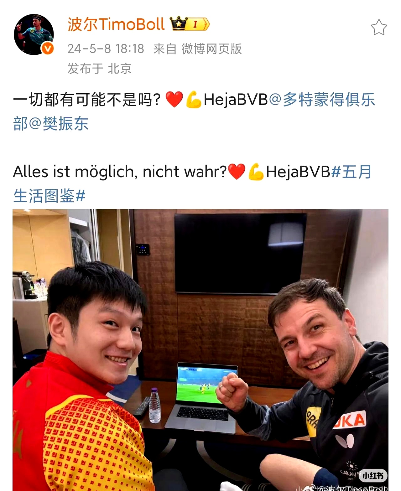 奥地利乒乓球队险胜法国乒乓球队,波尔送出助攻的简单介绍 奥地利乒乓球队险胜法国乒乓球队,波尔送出助攻的简单介绍