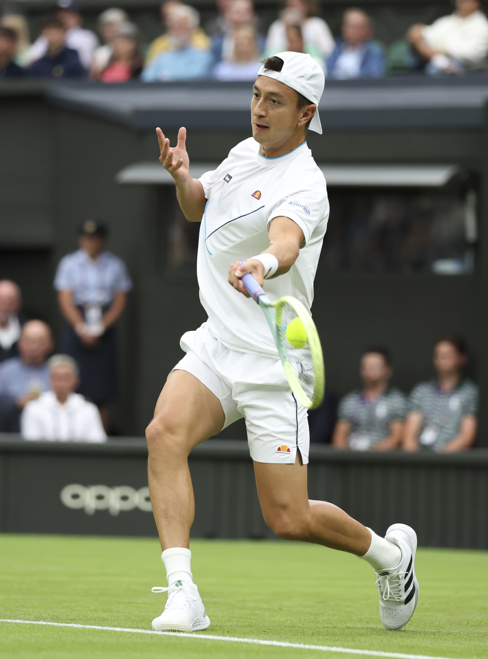 温网横扫ATP总决赛，穆雷高光表现